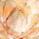 image of Cycas revoluta