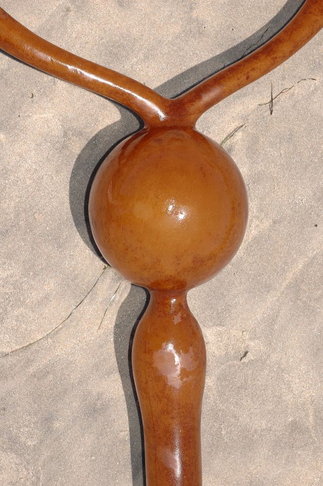 Lessoniaceae Nereocystis leutkeana