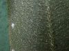 image of Elaphoglossum brenesii